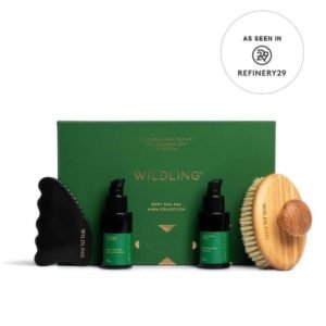 Aura Dry Brushing Collection