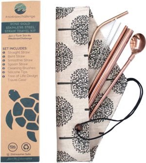 Rose Gold Stainless Steel Straws with Tree of Life Travel Case