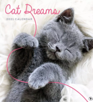 2021 Wall Calendar Cat Dreams – The Time Factory – Target