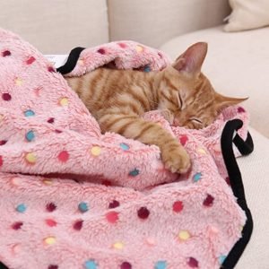 Dot Cat Blanket