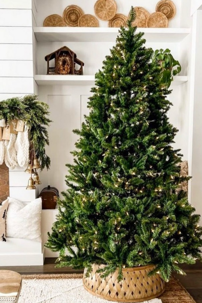 Fluffy Lit Christmas Trees Ideas