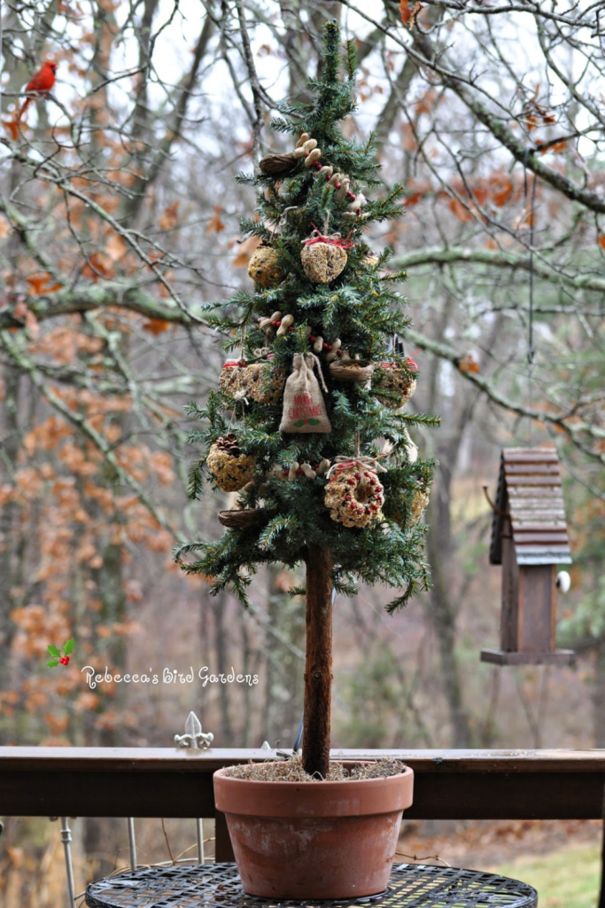 For Birds Christmas Trees Ideas