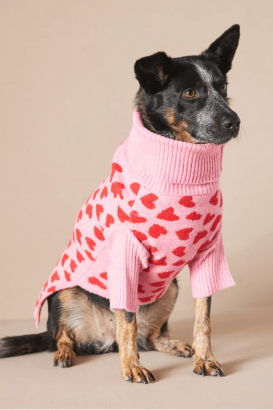 Vegan Valentines Day Gifts Dog Pet Pink Hearts Valentines Sweater