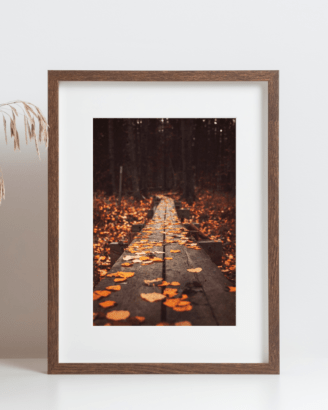 Autumn Pathway Leaves Mockup2
