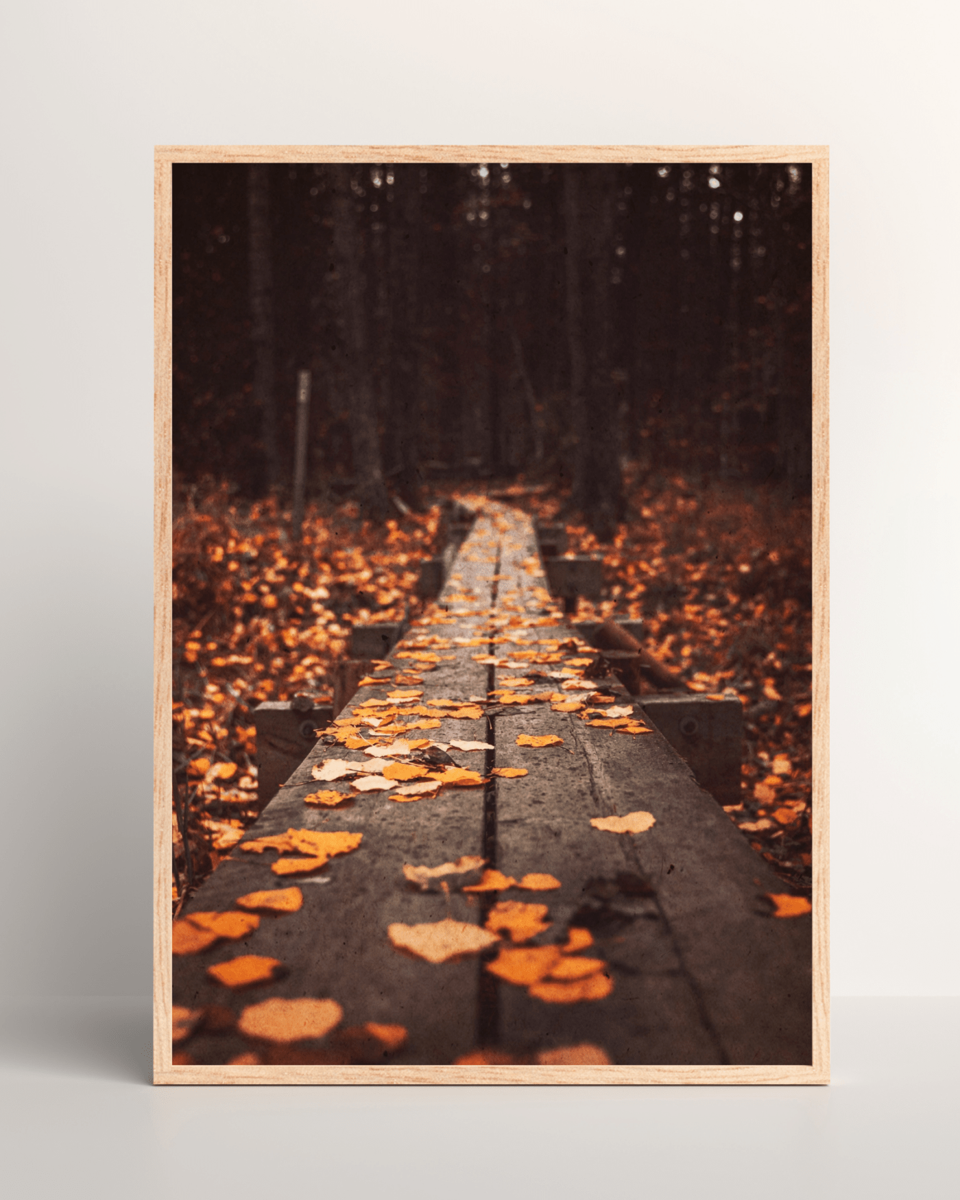 Autumn Pathway Leaves Mockup3