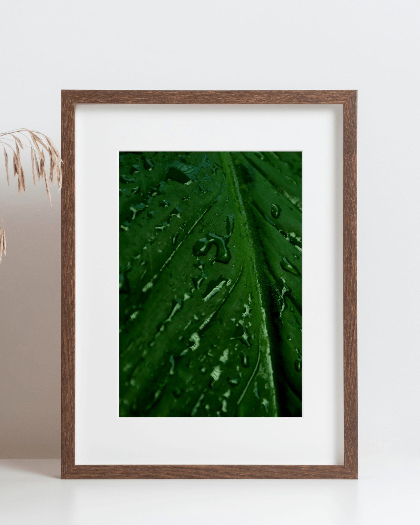 Rain on Large Green Leaf Mockup2