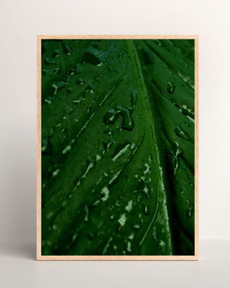 Rain on Large Green Leaf Mockup3