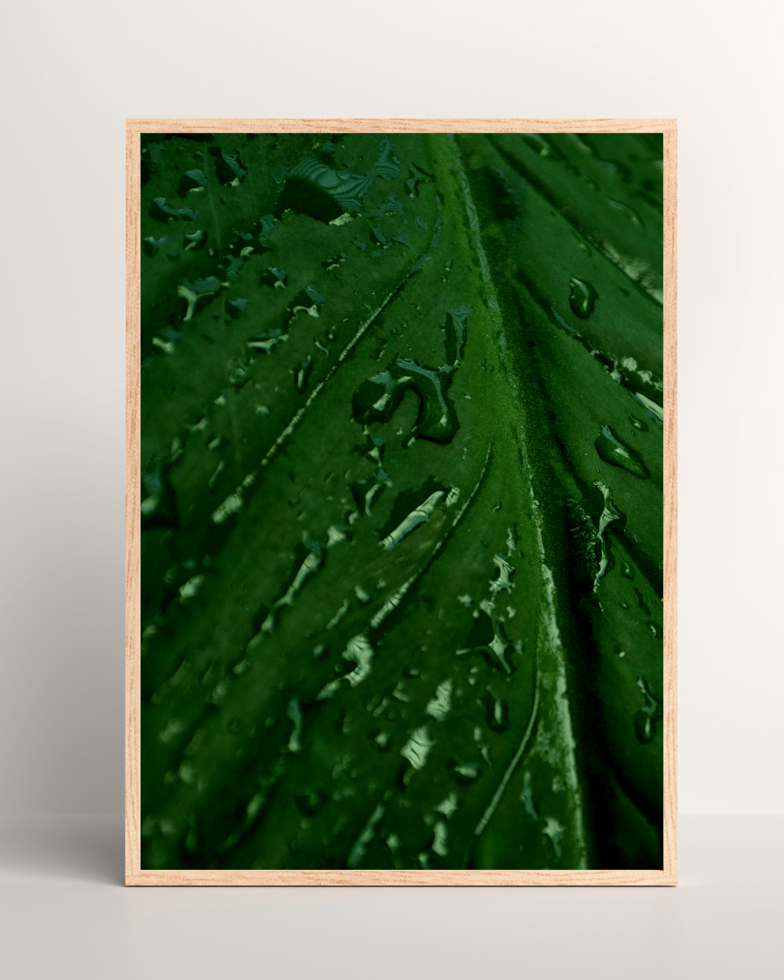 Large Green Leaf with Rain Matte Poster