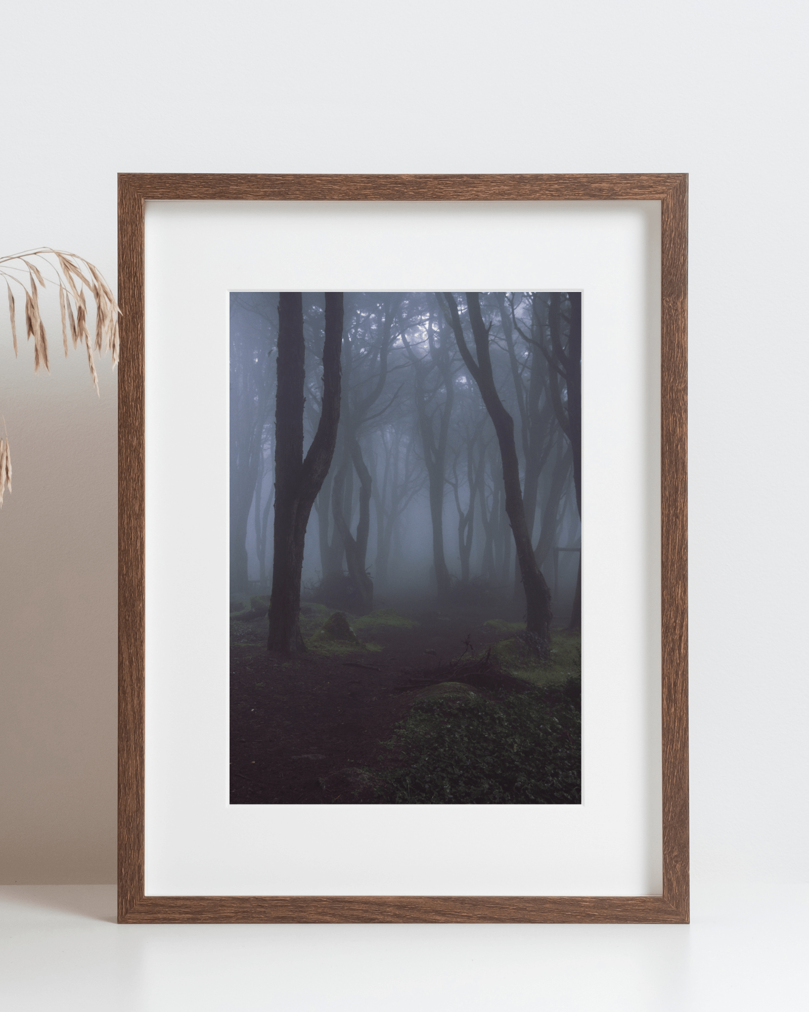 Misty Dark Forest Matte Poster