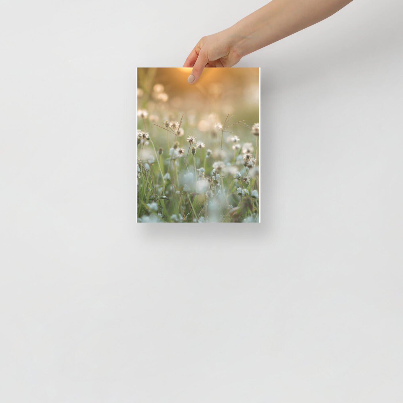 enhanced matte paper poster in 8x10 front 6476a9d647ae3.jpg