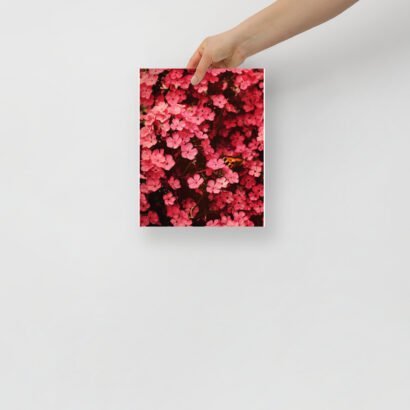 enhanced matte paper poster in 8x10 front 647810b6a295a.jpg
