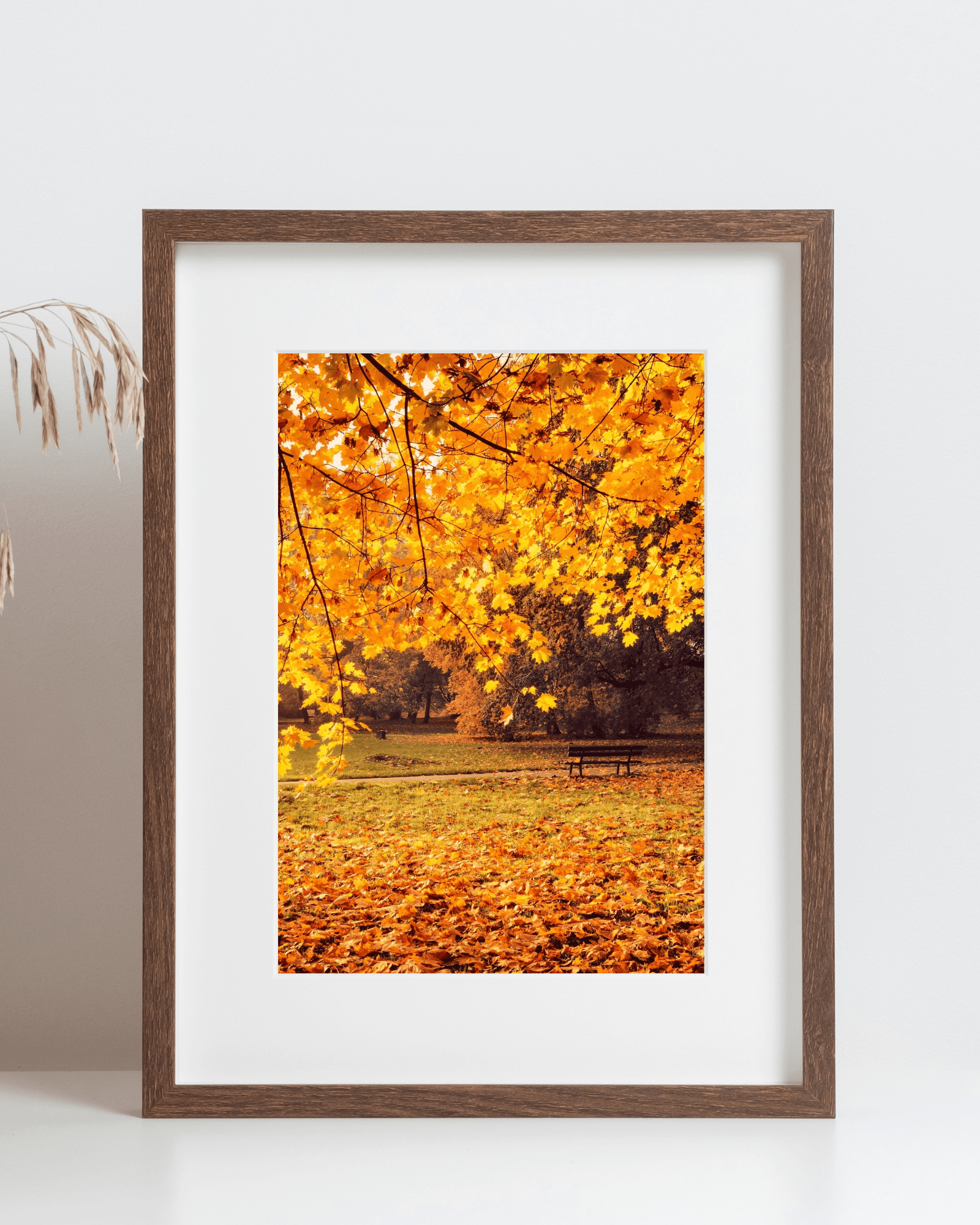 Autumn Park and Bench Matte Poster