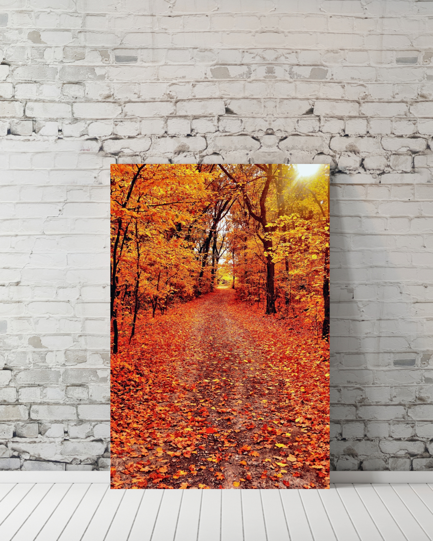 Autumn Road Forest Mockup1