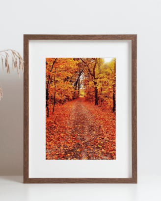 Autumn Road Forest Mockup2