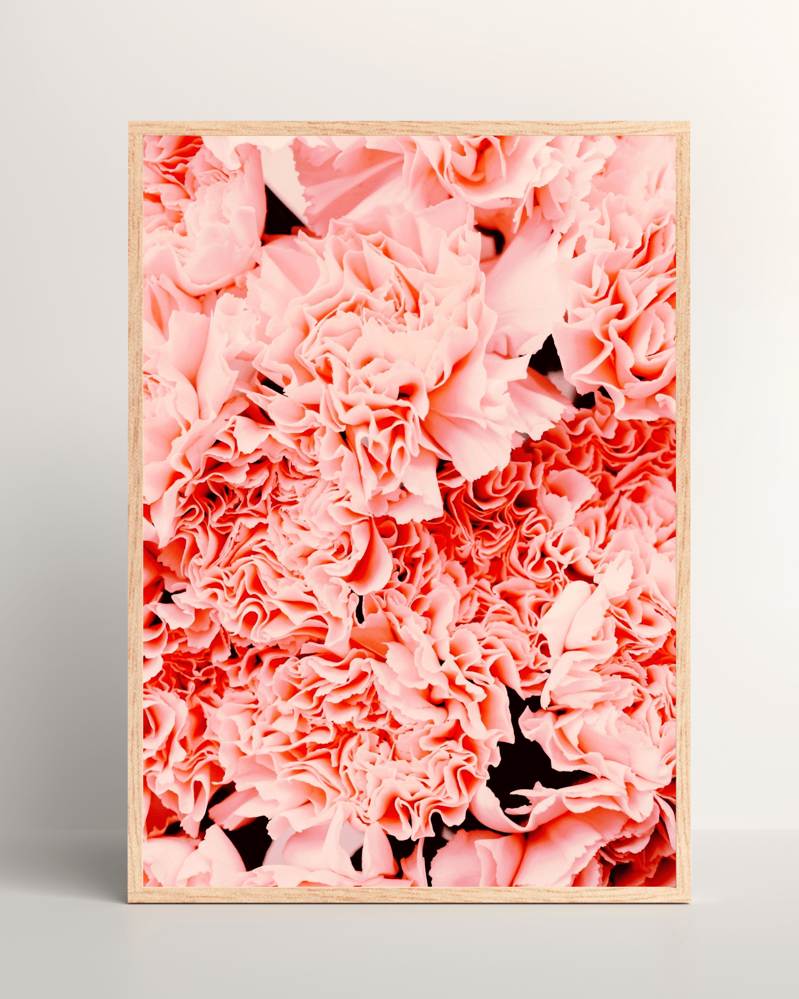Pink Carnations Matte Poster