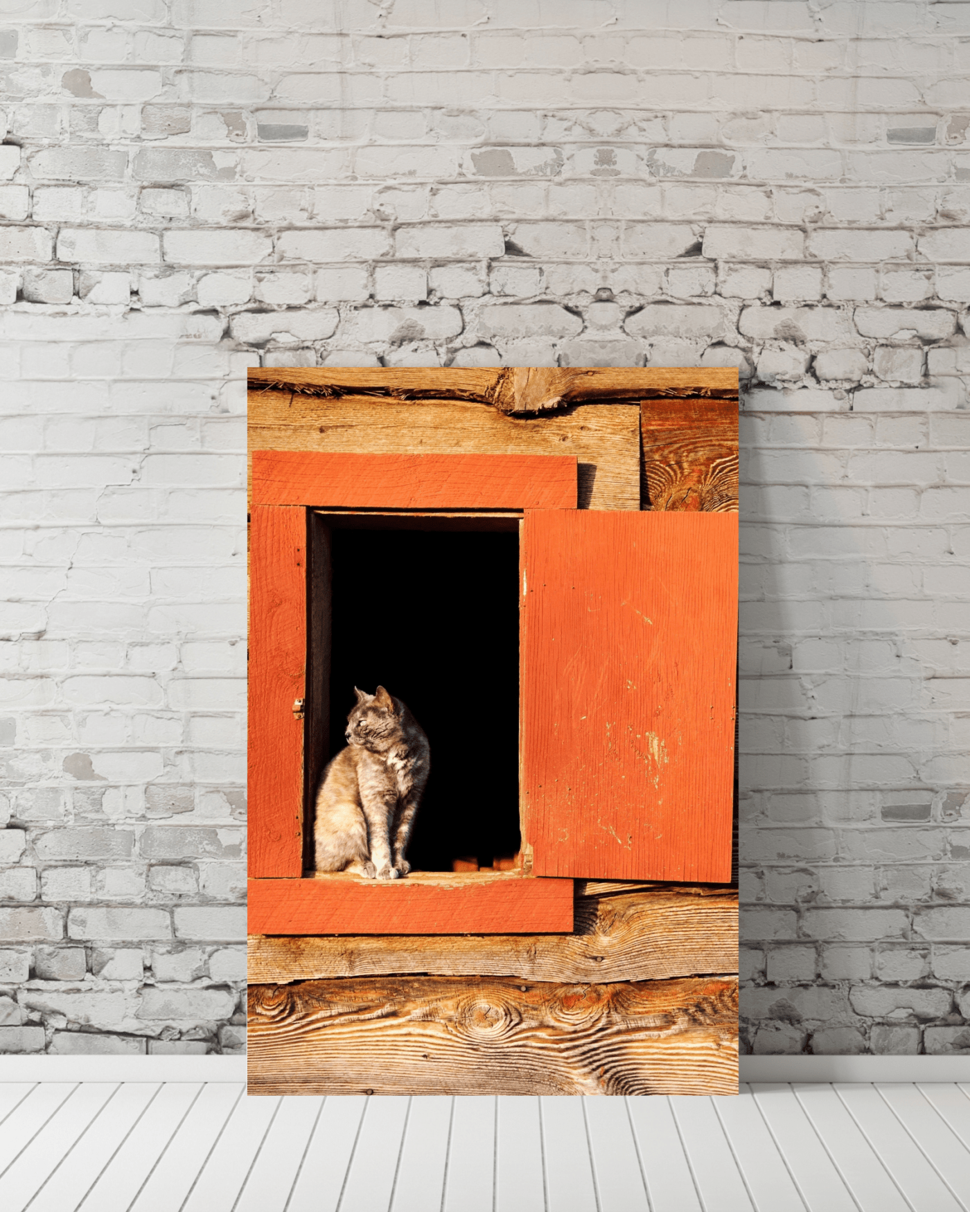 Cat in Wooden Door Mockup1