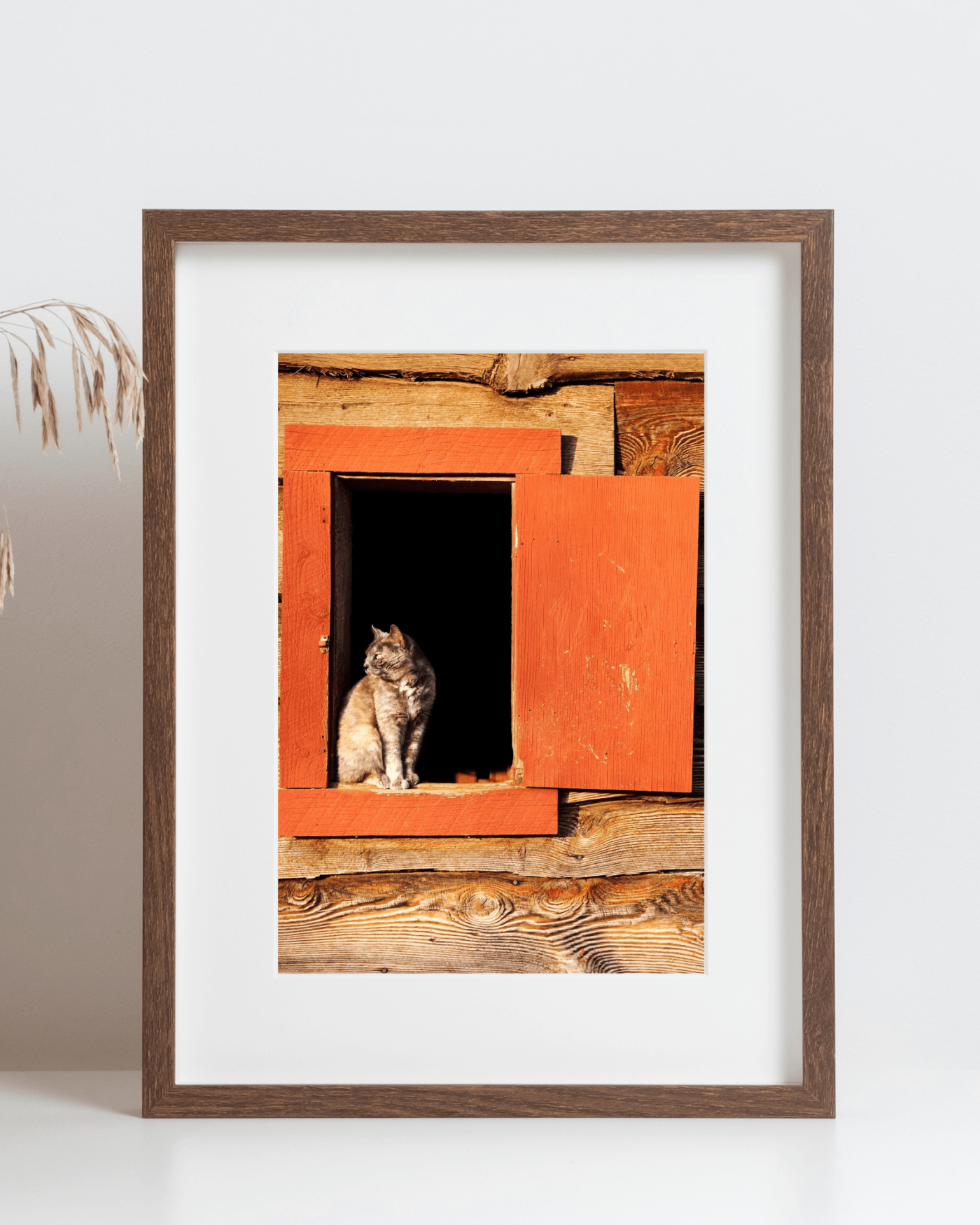 Cat in Wooden Door Mockup2