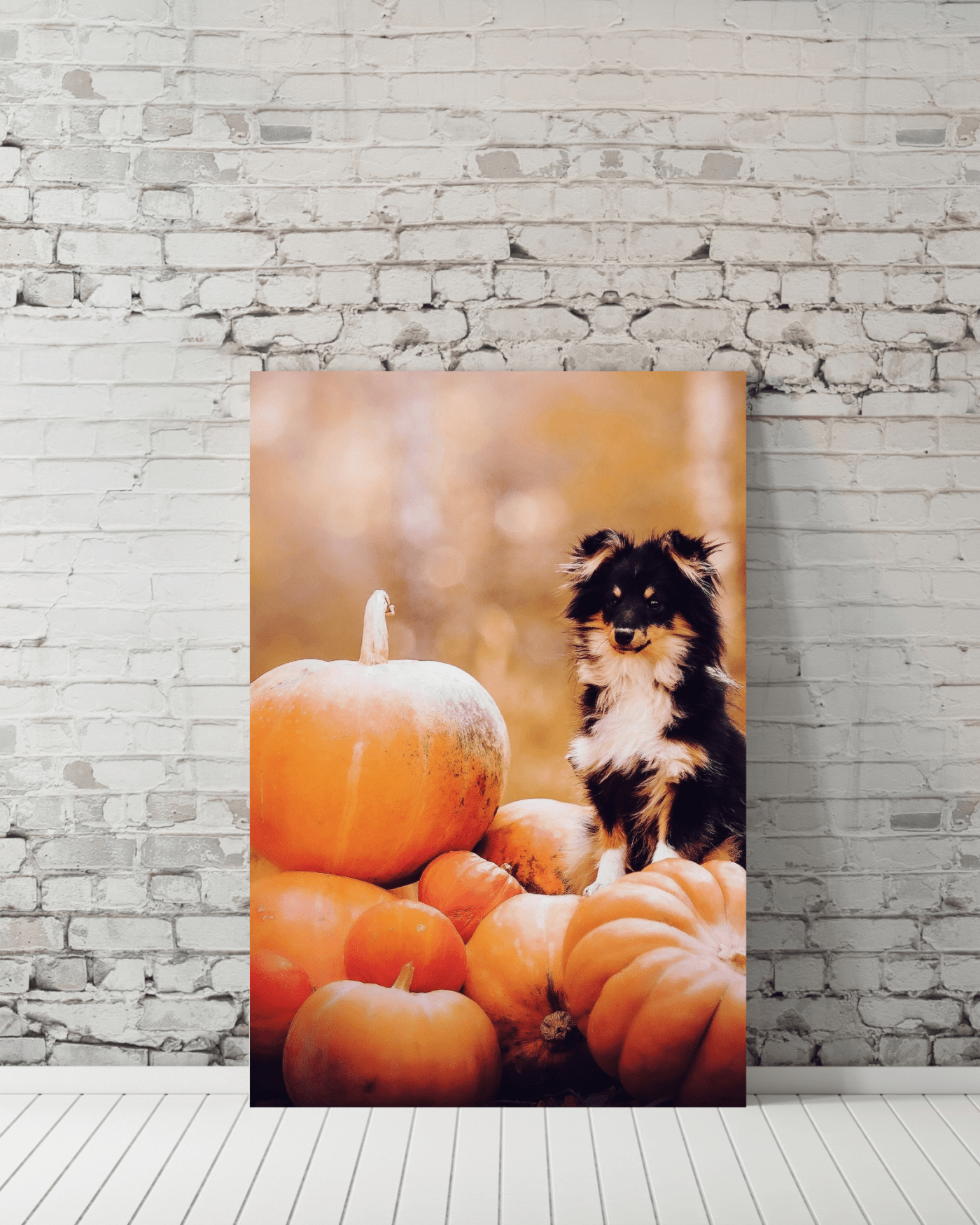 Dog and Pumpkins Mockup1