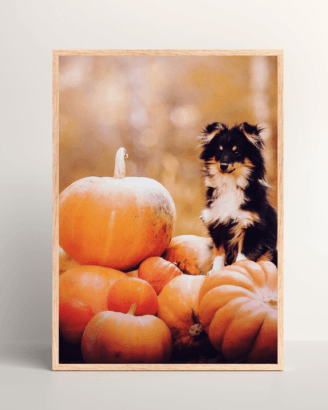 Dog and Pumpkins Mockup3