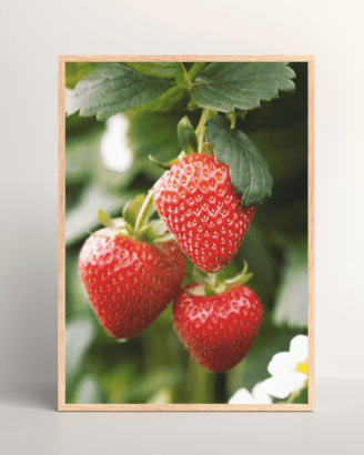 Hanging Strawberries Mockup3