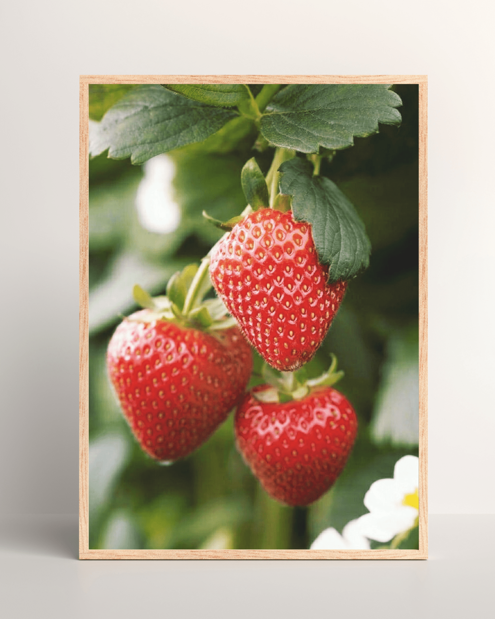 Hanging Strawberries Matte Poster