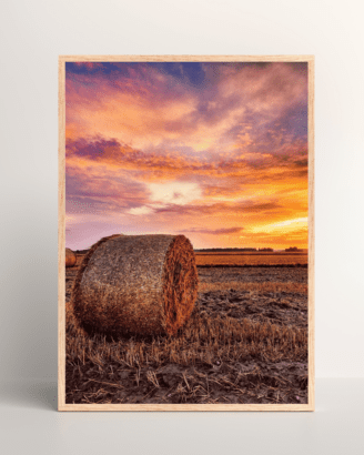 Hay Field Sunset Mockup3
