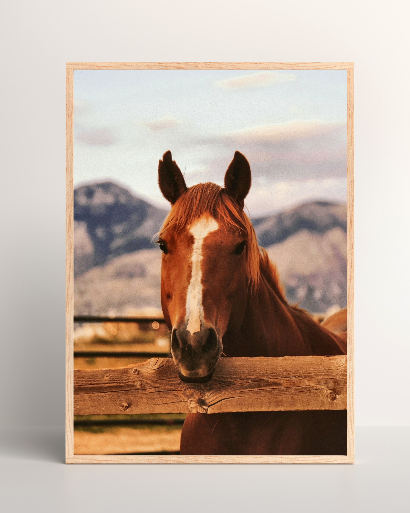 Horse Hanging on Fence Matte Poster