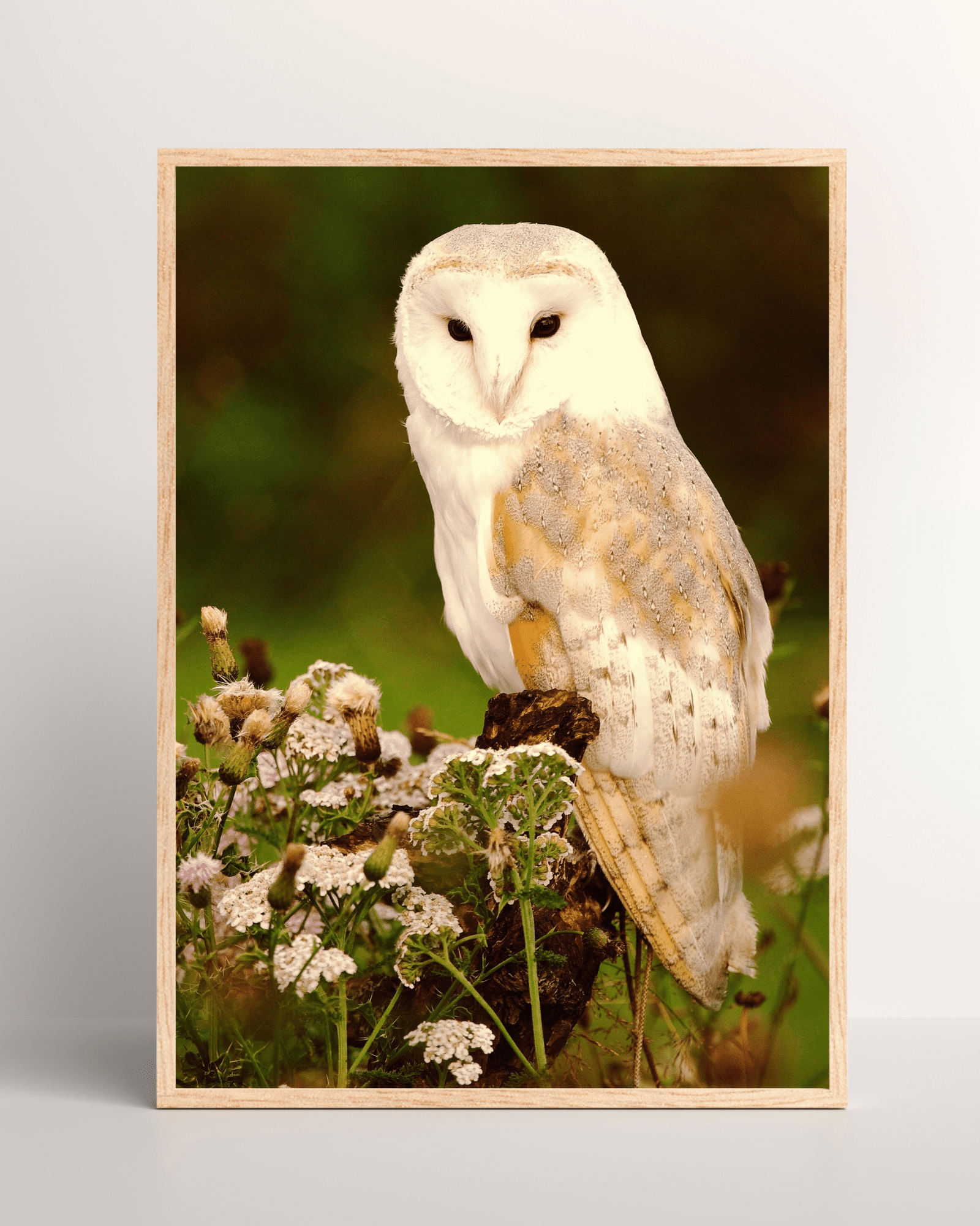 Owl on Perch Matte Poster