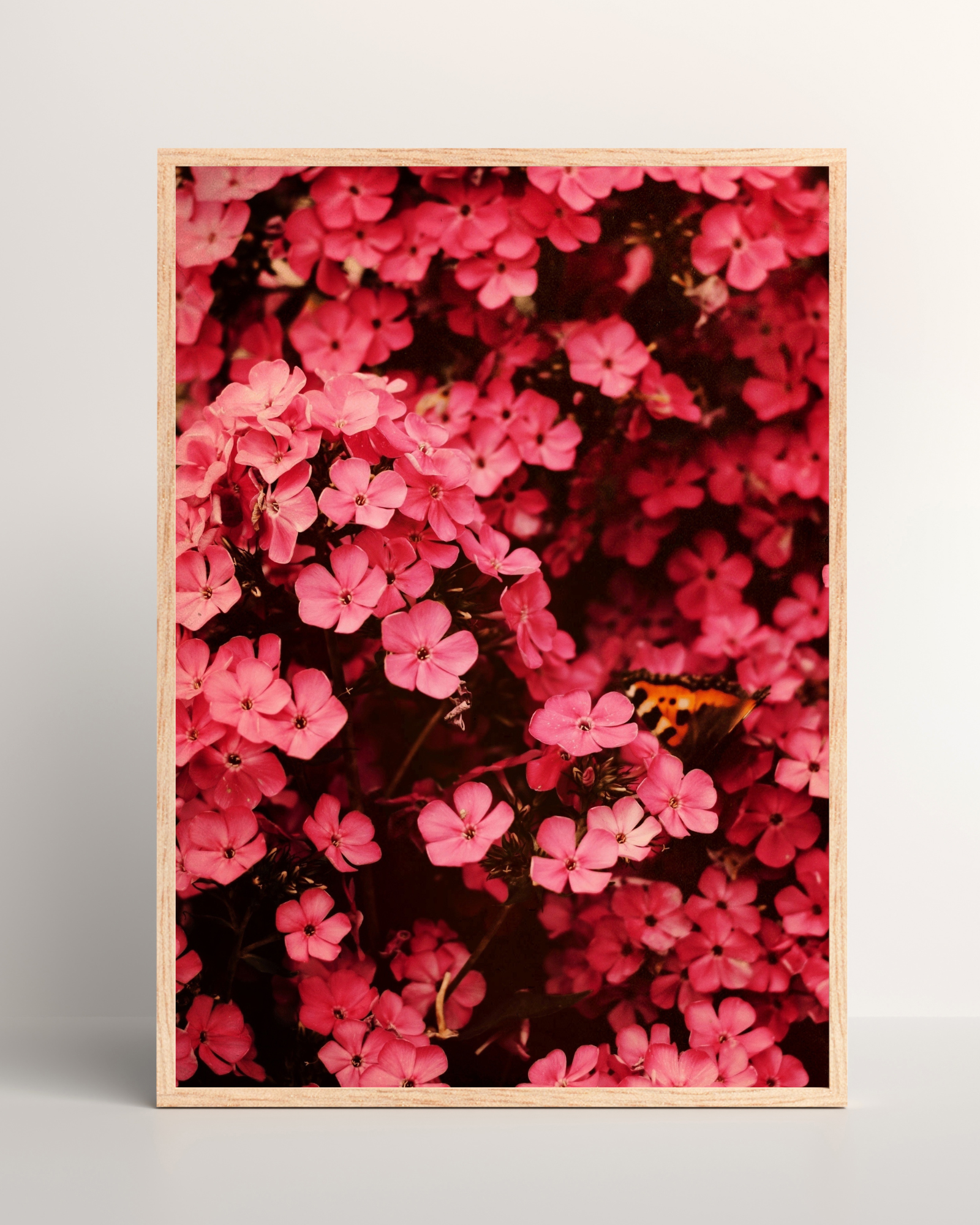 Pink Flower Bundle Matte Poster