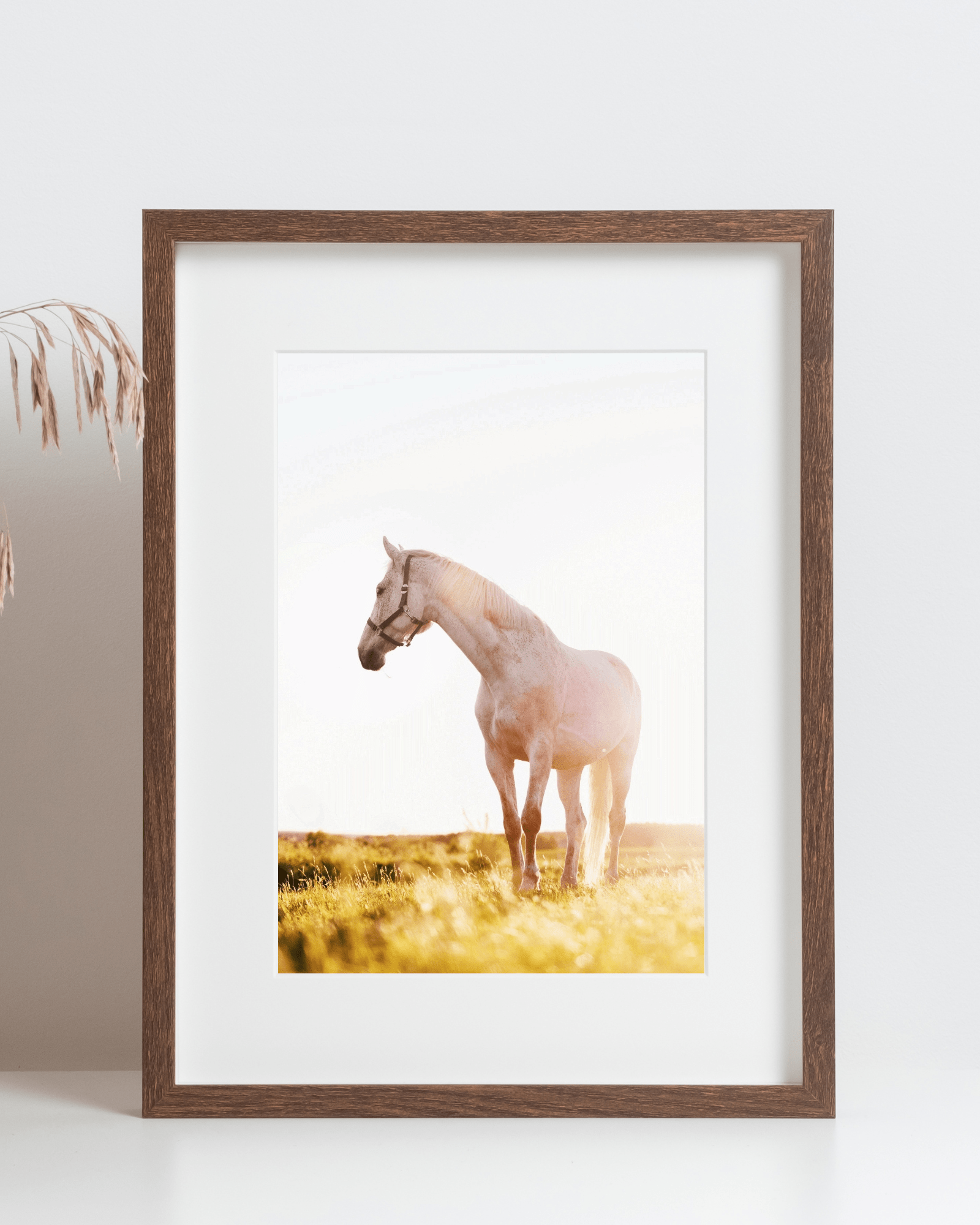 White Horse Sunny Pasture Matte Poster