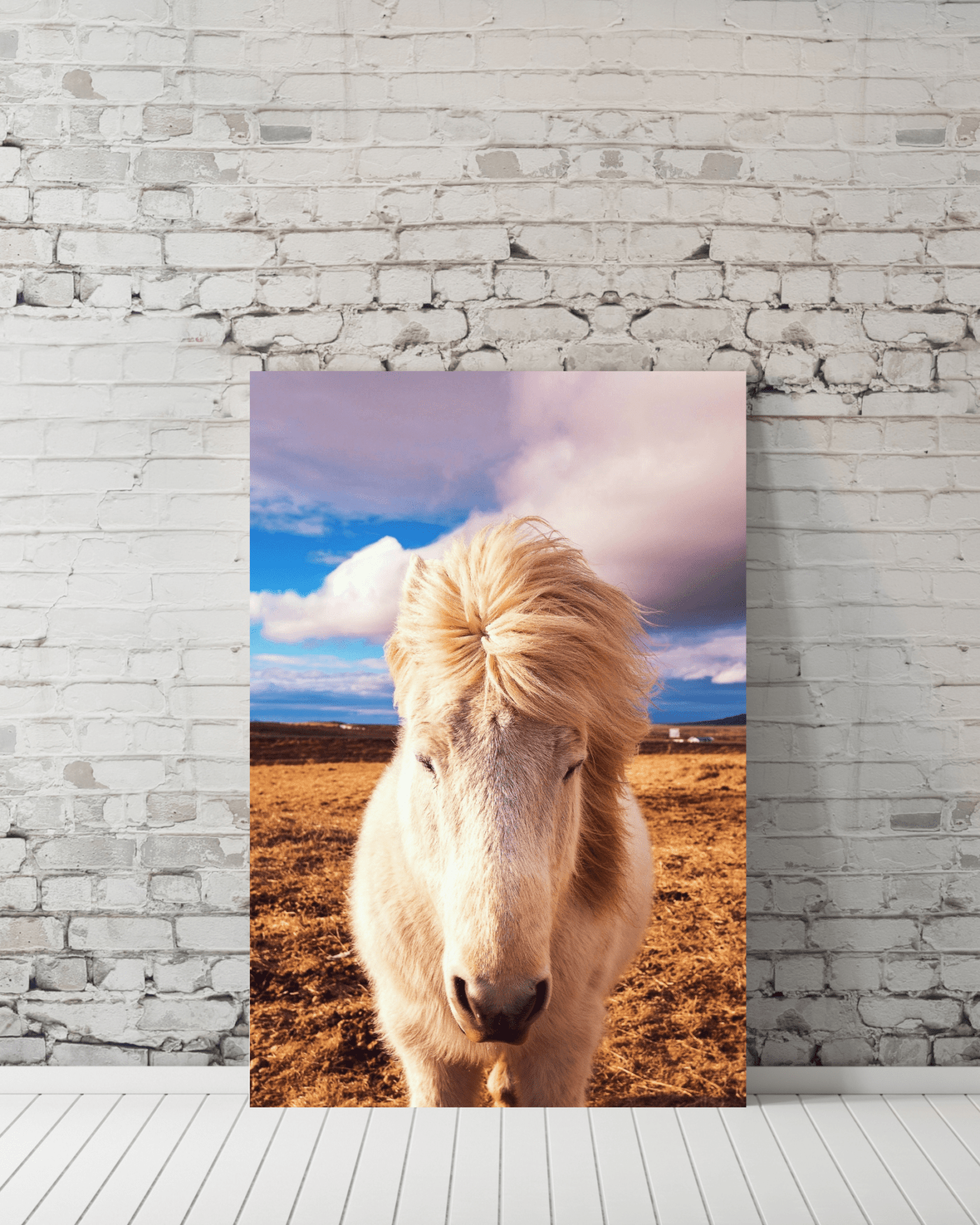 White Horse in Pasture Mockup1