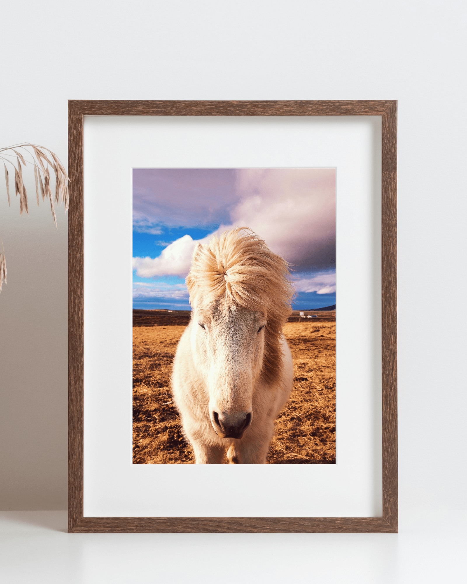 White Horse in Field Matte Poster