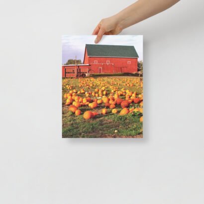 enhanced matte paper poster in 11x14 front 647d4866e8596.jpg