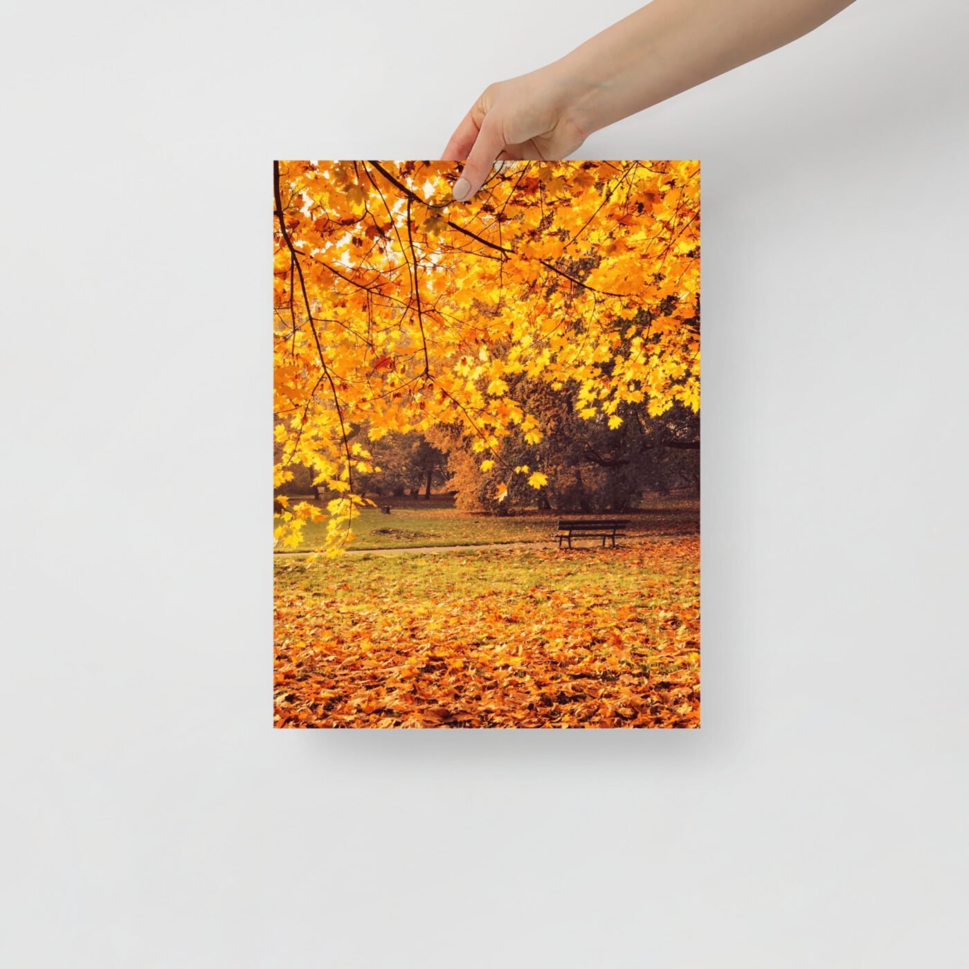 enhanced matte paper poster in 12x16 front 647a5cace7f41.jpg