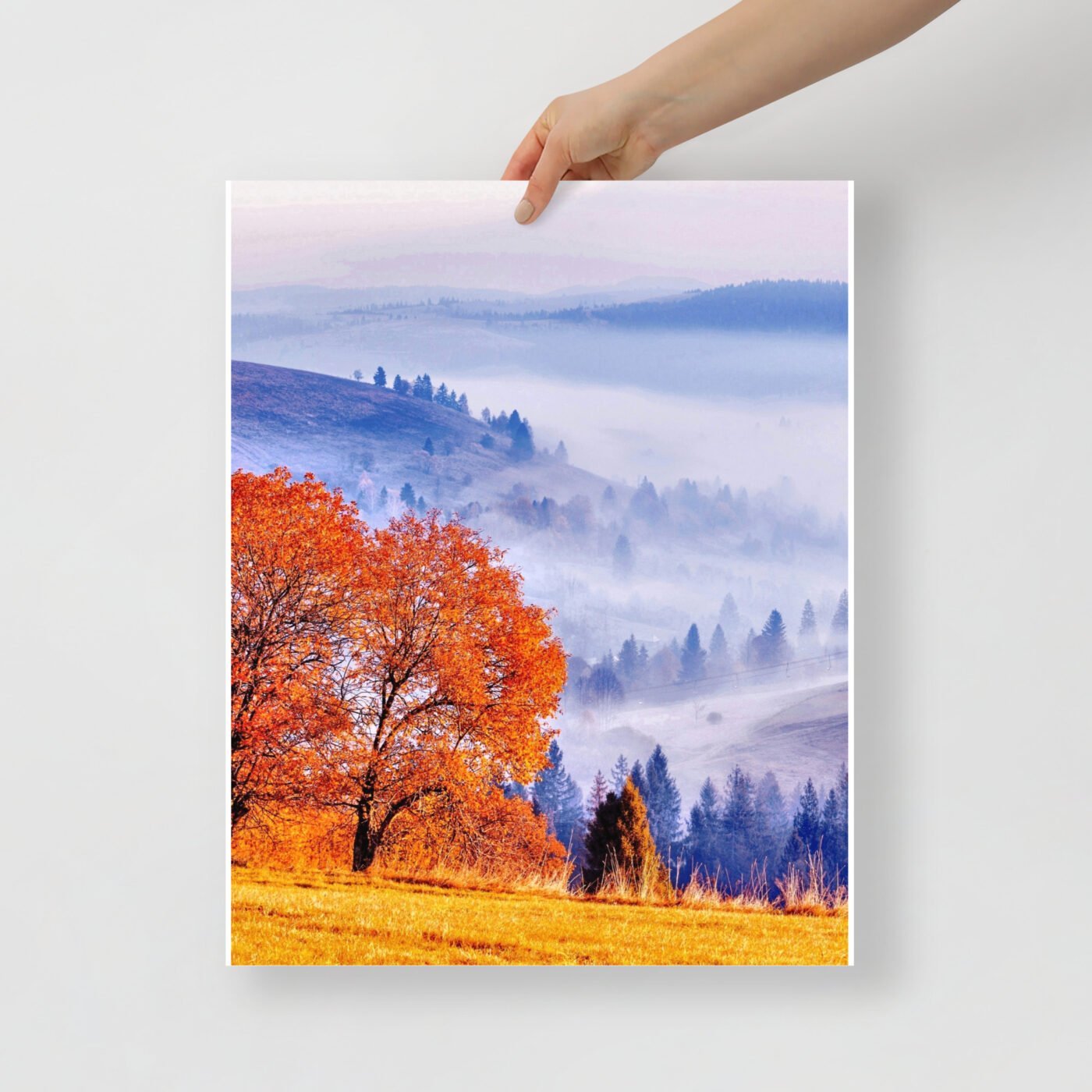 enhanced matte paper poster in 16x20 front 6478db89c78bf.jpg