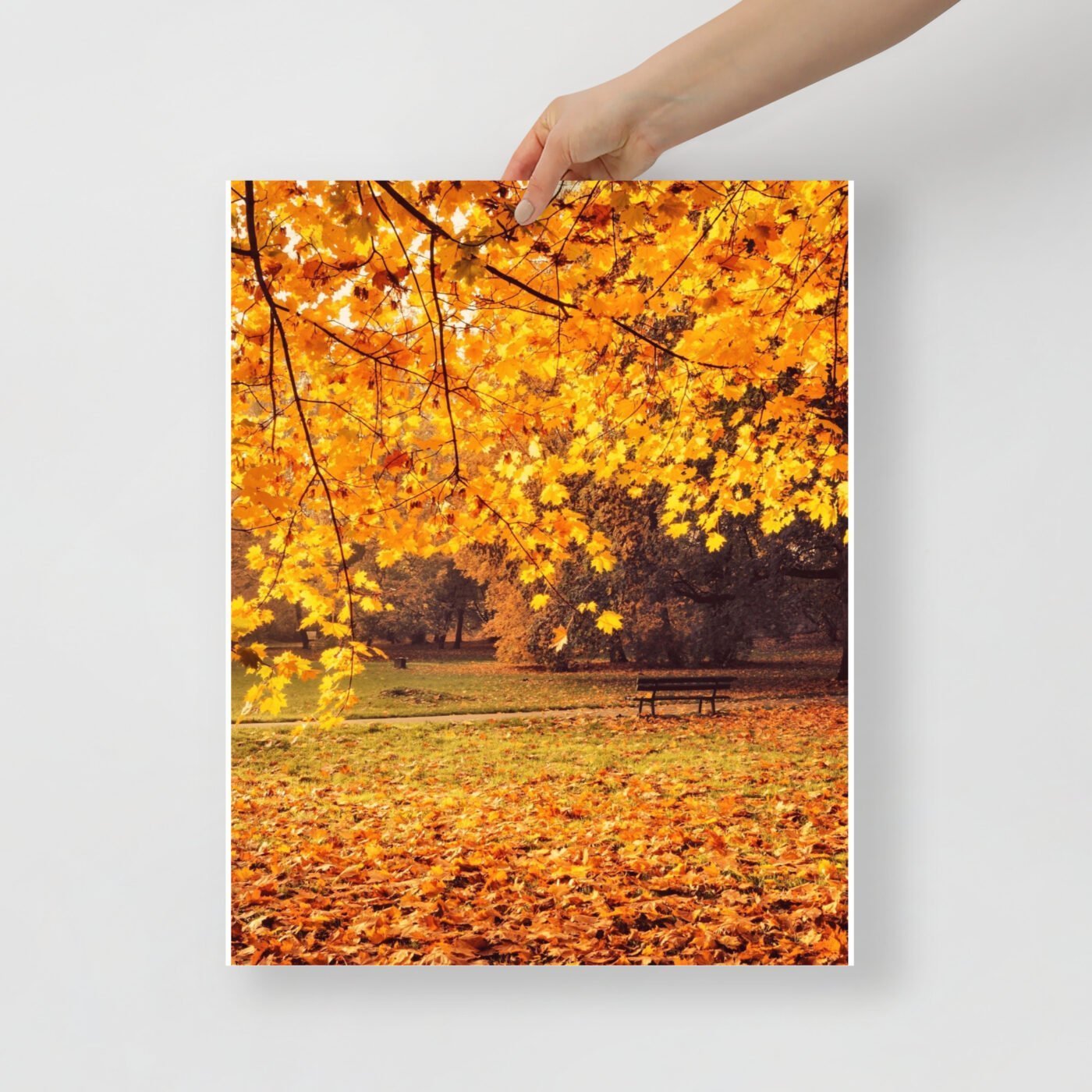 enhanced matte paper poster in 16x20 front 647a5cace8016.jpg
