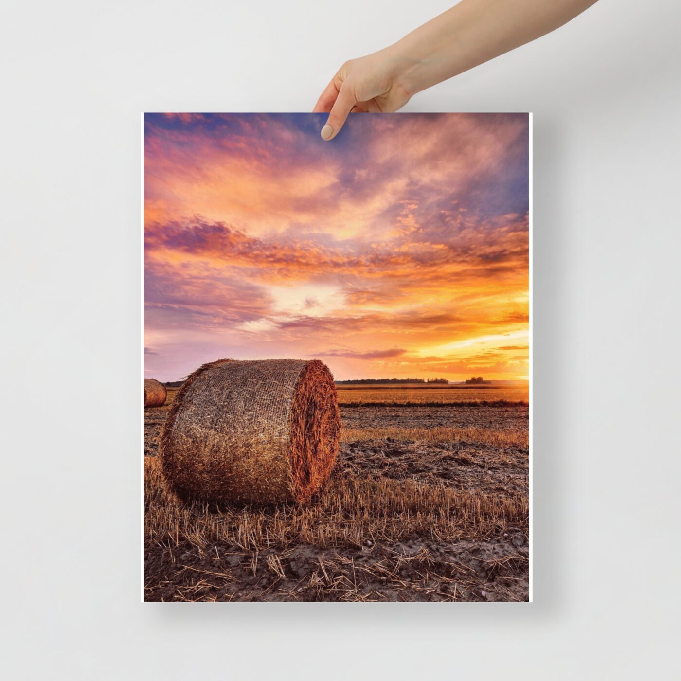 enhanced matte paper poster in 16x20 front 647ae247e71ce.jpg