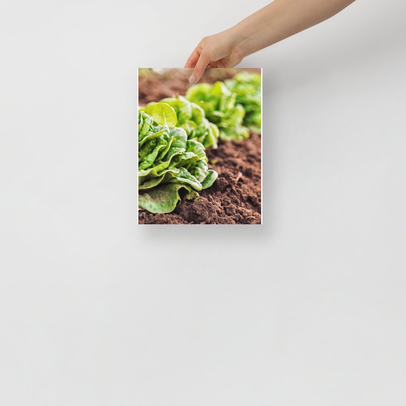 enhanced matte paper poster in 8x10 front 647a5aede48d6.jpg