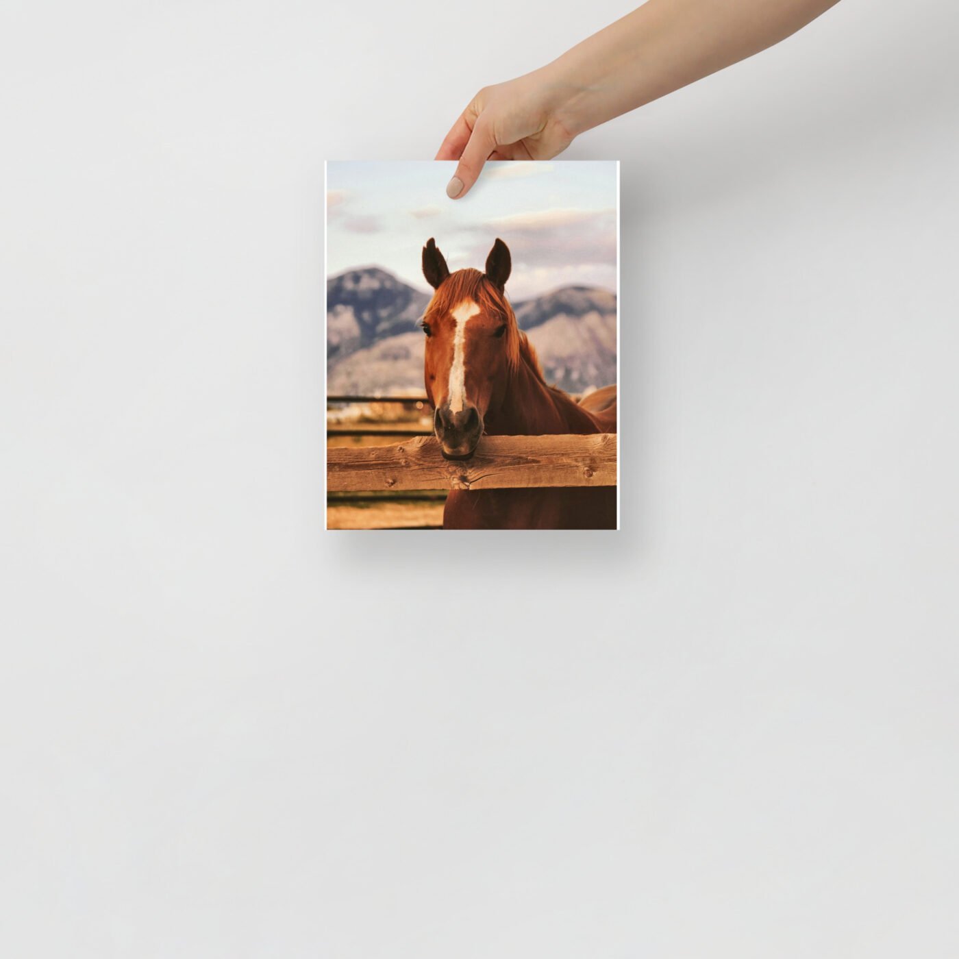 enhanced matte paper poster in 8x10 front 647ae3191b900.jpg